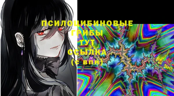кокаин премиум Козловка