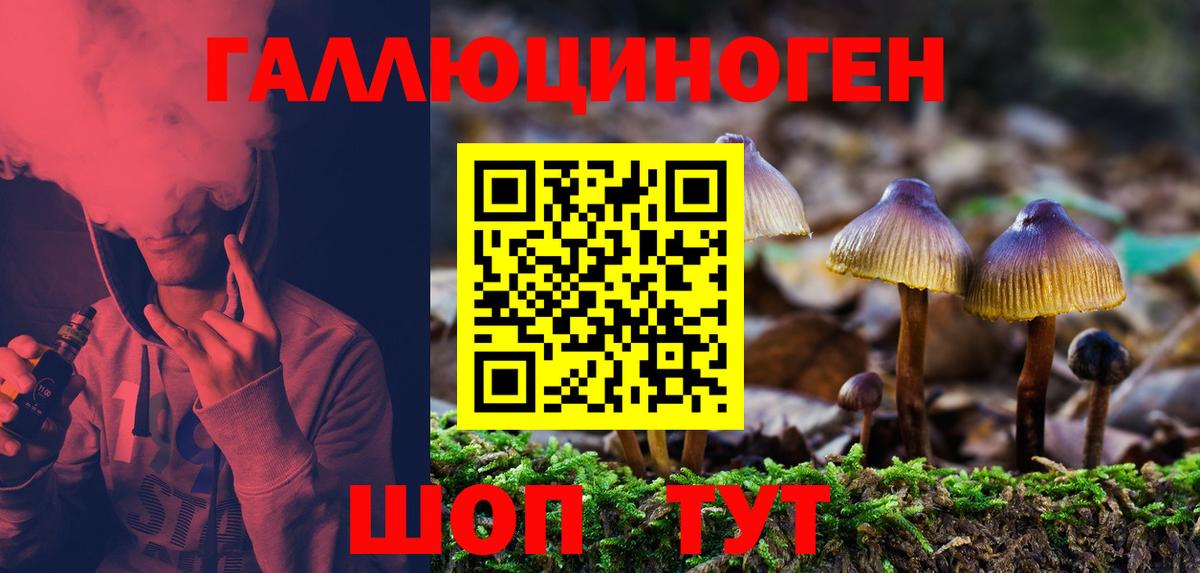 как найти закладки  Галлюциногенные грибы Magic Shrooms  Вход с VPN  Новочебоксарск 