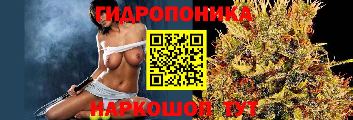 МАРИХУАНА гибрид  Новочебоксарск  МАРИХУАНА OG Kush  Каннабис Bruce Banner 